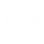 skf.webp